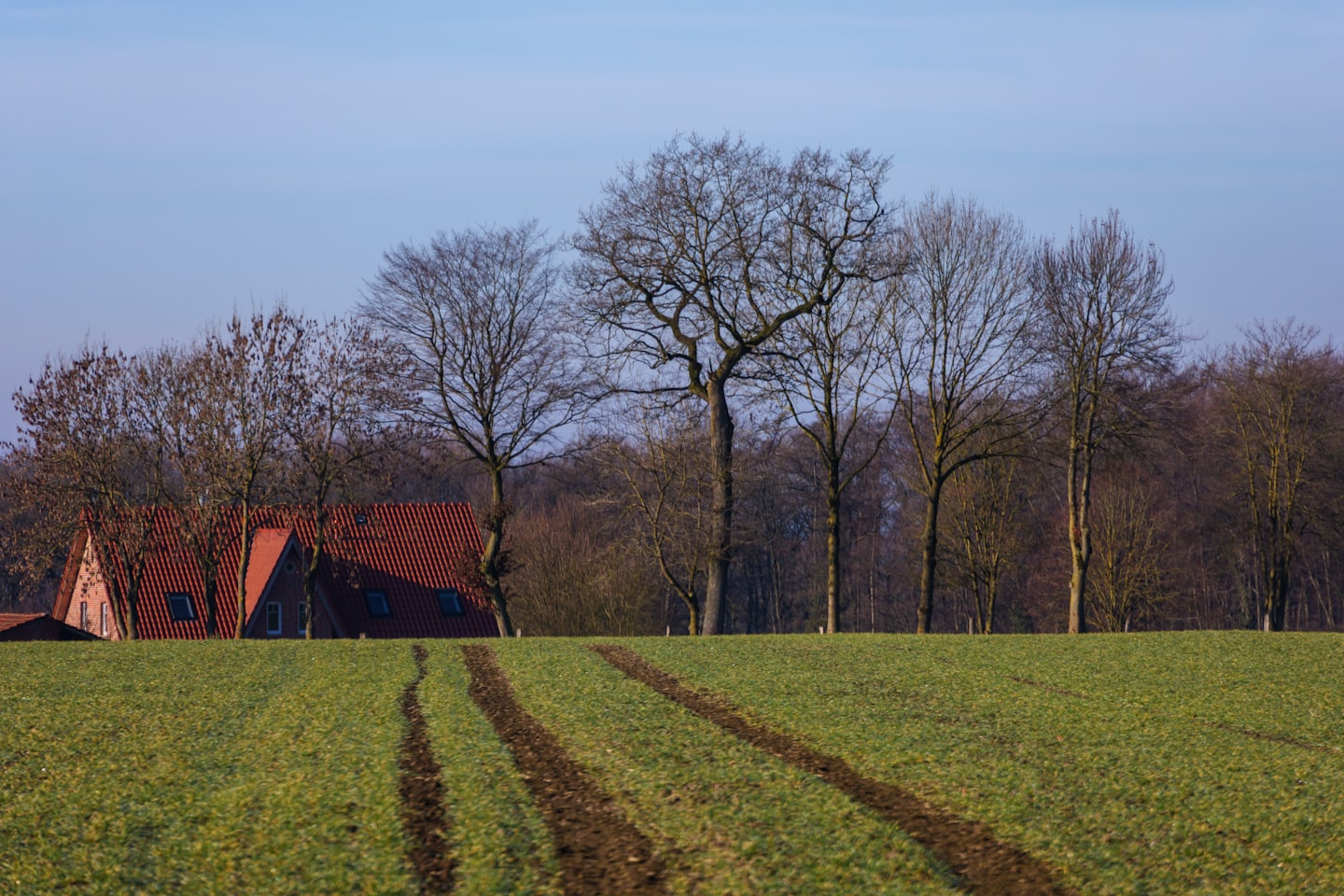 aa015f2991594572bbb9794a2100de303aef98c5